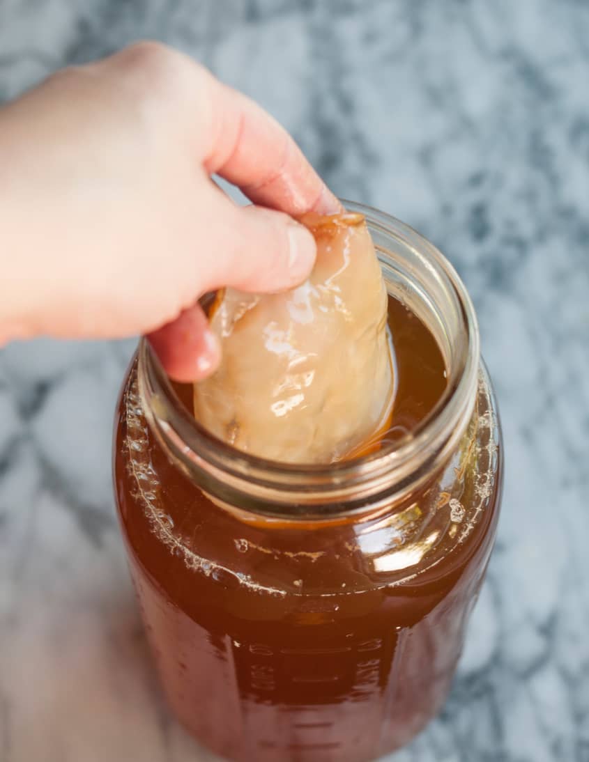 How To Make Your Own Kombucha Scoby Step By Step Recipe The Kitchn