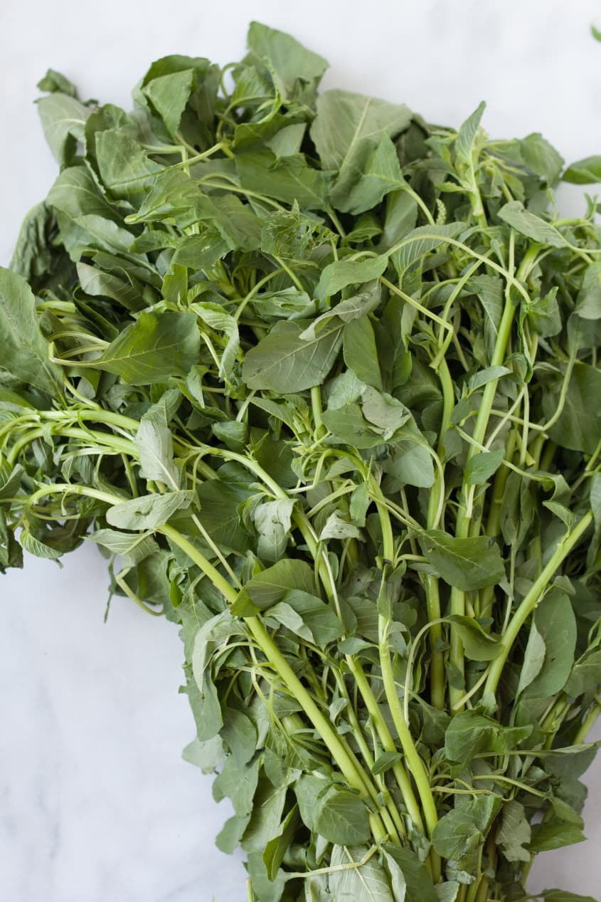 A Visual Guide to 10 Varieties of Asian Greens The Kitchn