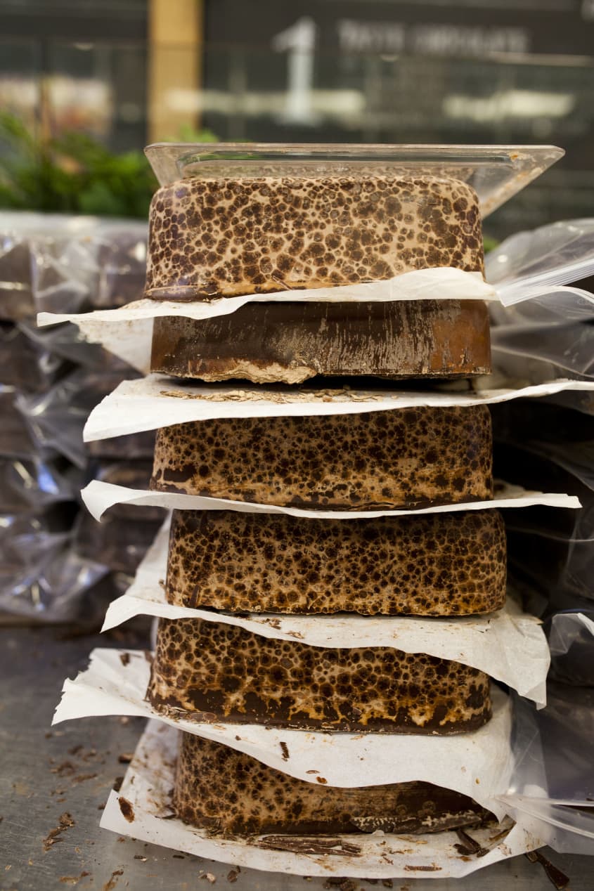 How Dandelion Makes Their Chocolate in San Francisco The Kitchn