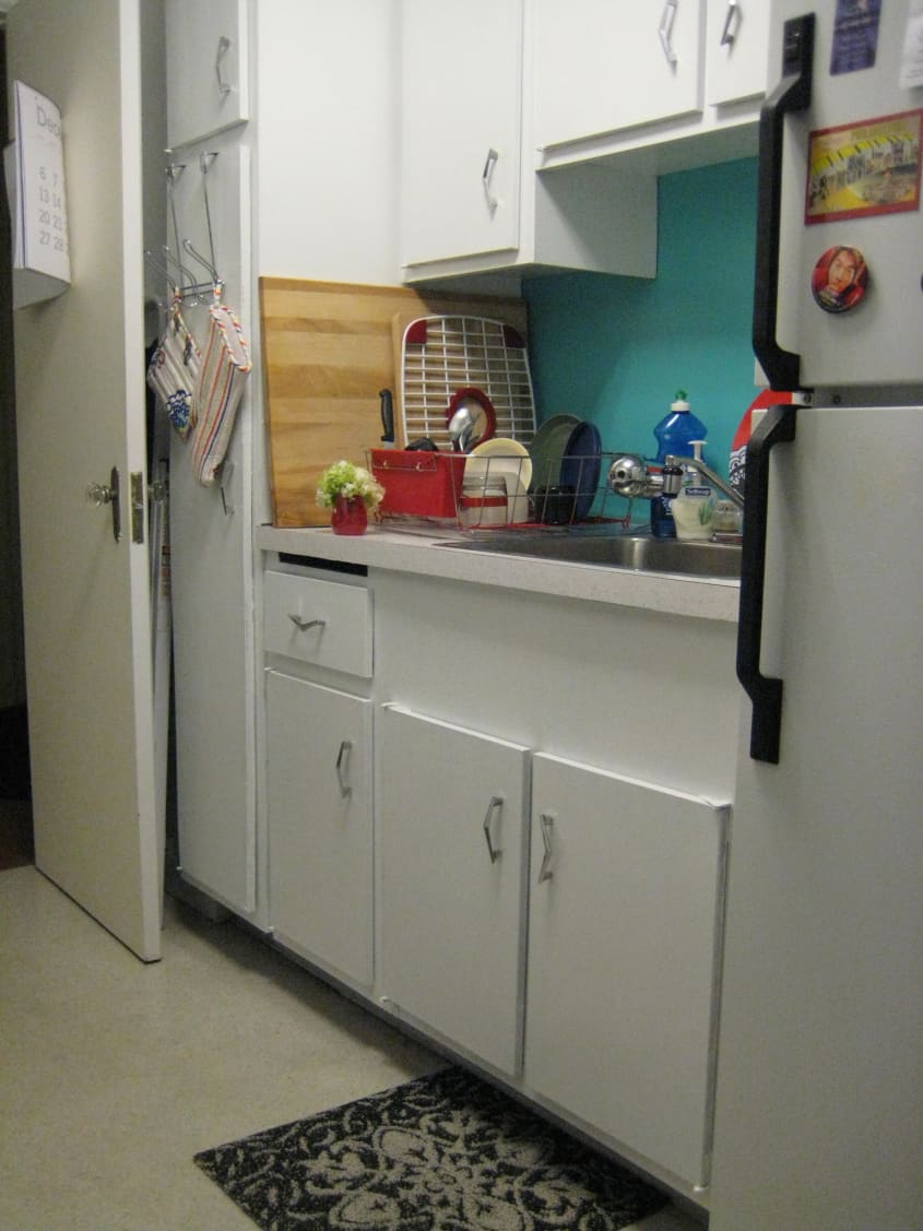 How To Paint Plastic Laminate Kitchen Kathleen’s February