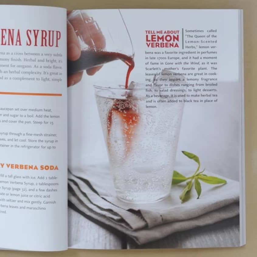 Make Your Own Soda by Anton Nocito The Kitchn