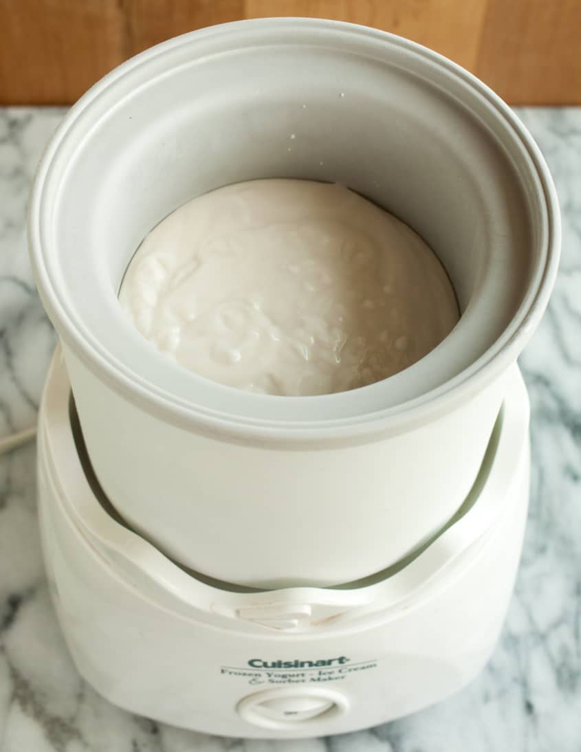 DairyFree Vegan Ice Cream Recipe (With Coconut Milk) The Kitchn