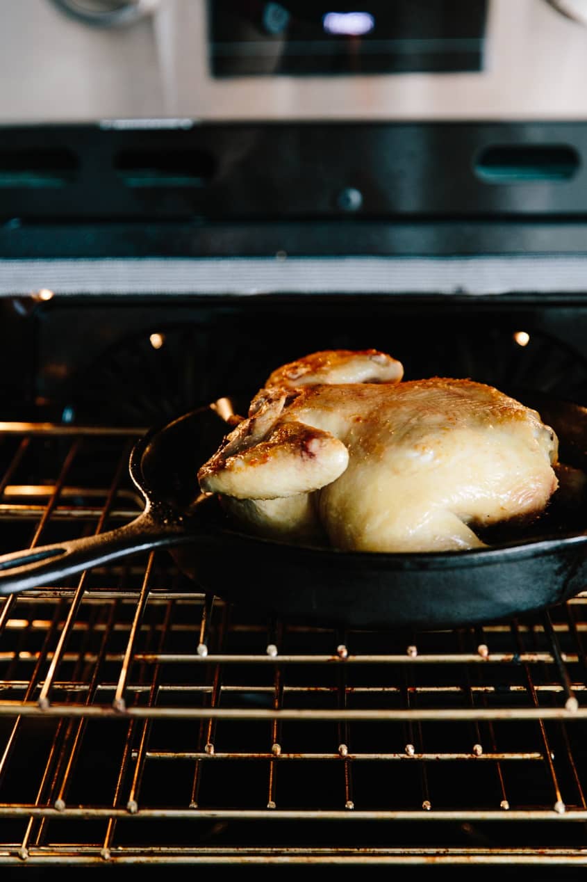 How To Make a Roasted Chicken (Zuni CafeStyle) The Kitchn