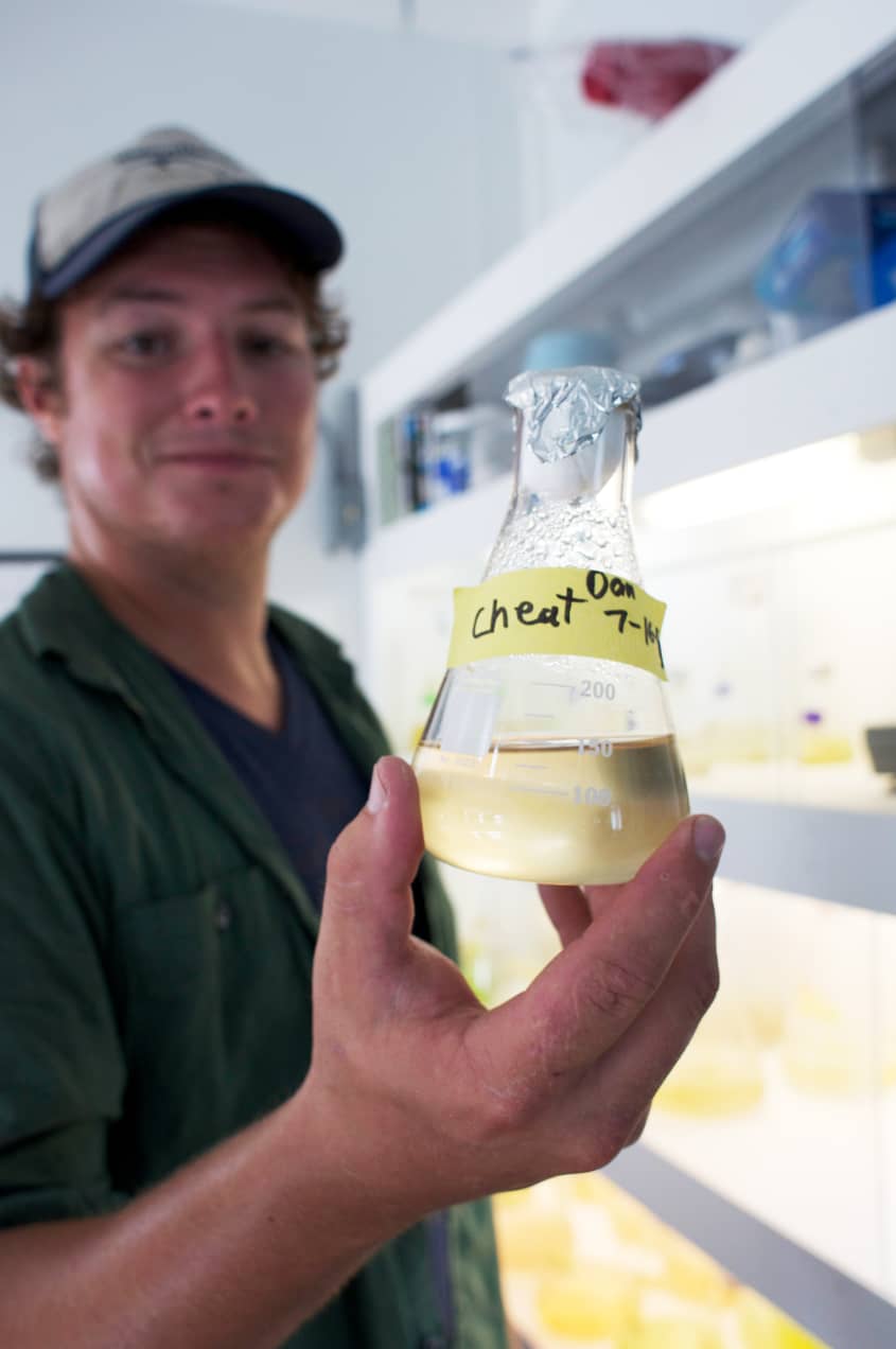 How Oysters Are Grown A Visit to Island Creek Oysters in Duxbury