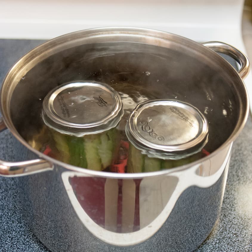 Easy Dill Pickles Recipe (With Dill Seed & Garlic) Kitchn