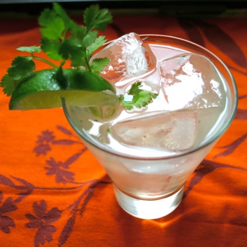 The Gin & Tonic 4 Fresh New Botanical Twists Straight Up Cocktails and