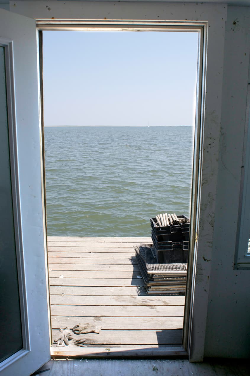 How Oysters Are Grown A Visit to Island Creek Oysters in Duxbury