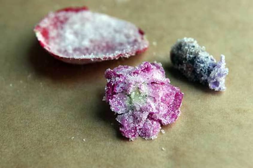 How To Make Candied Flowers The Kitchn
