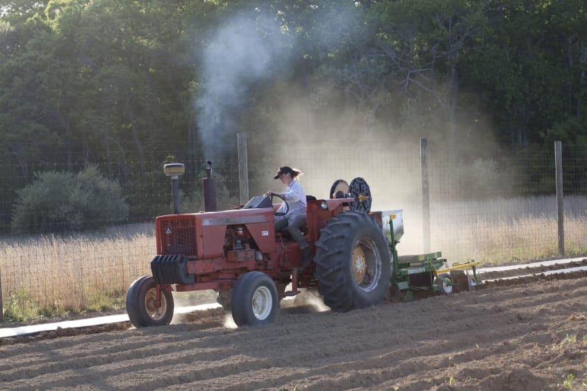 Why a Tractor Is So Indispensable to a Real Working Farm The Kitchn