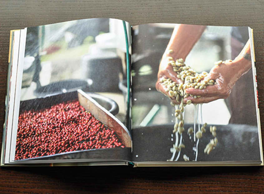 The Blue Bottle Craft of Coffee by James Freeman, Caitlin Freeman, and