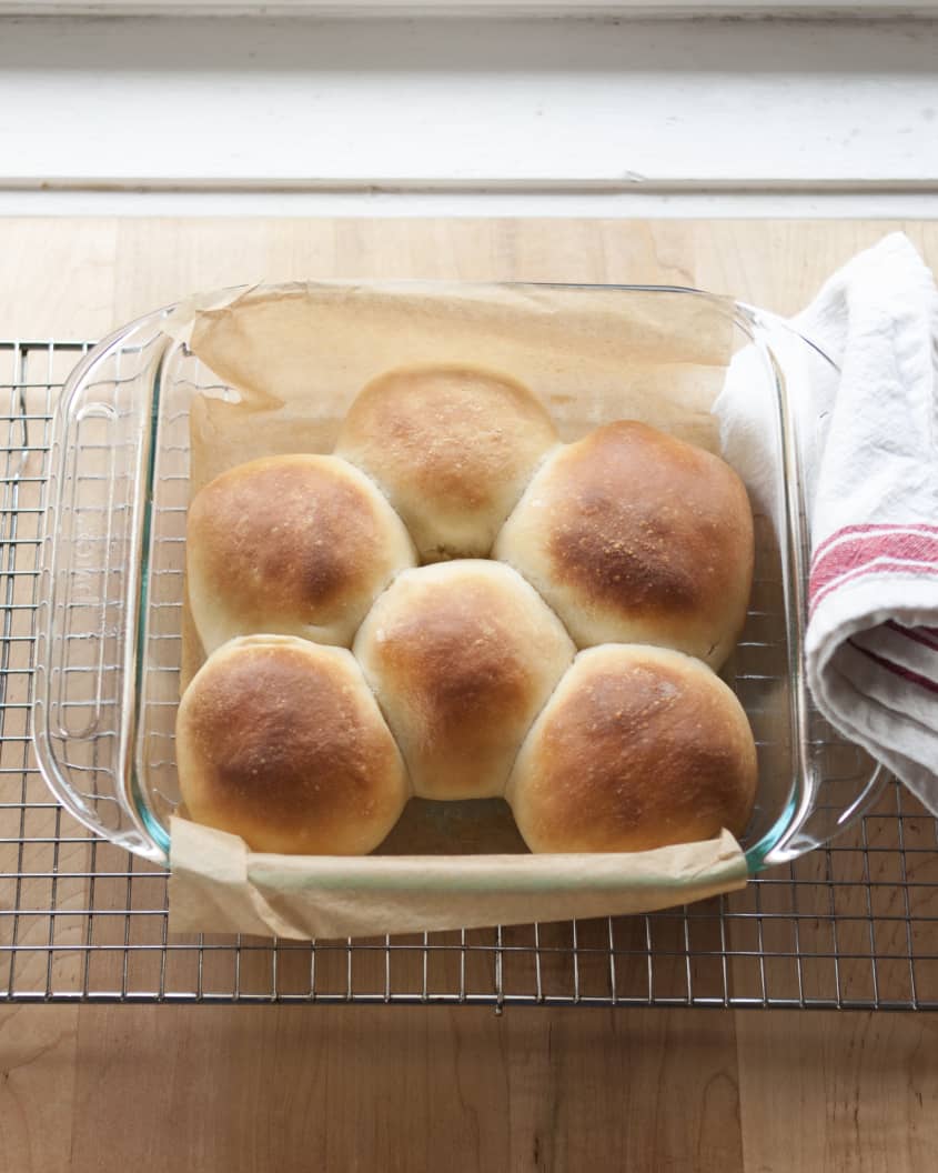 How To Freeze & Reheat Dinner Rolls | The Kitchn