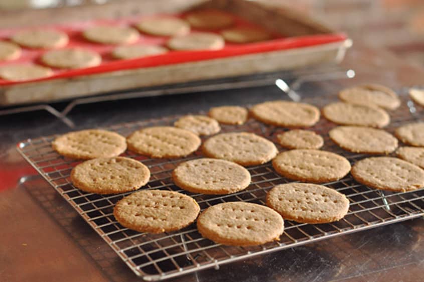 How To Make Mallomar Cookies at Home | The Kitchn