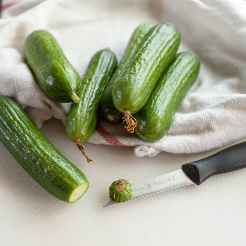 Easy Dill Pickles Recipe (With Dill Seed & Garlic) Kitchn