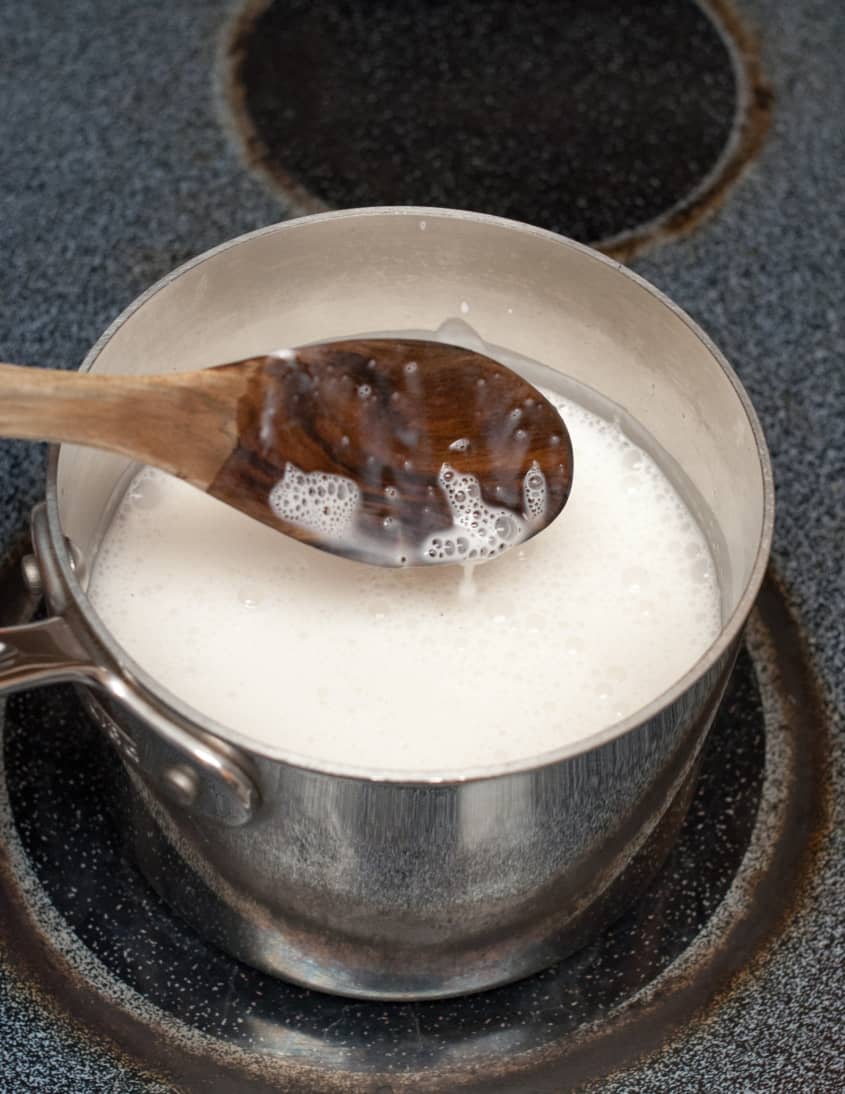 DairyFree Vegan Ice Cream Recipe (With Coconut Milk) The Kitchn