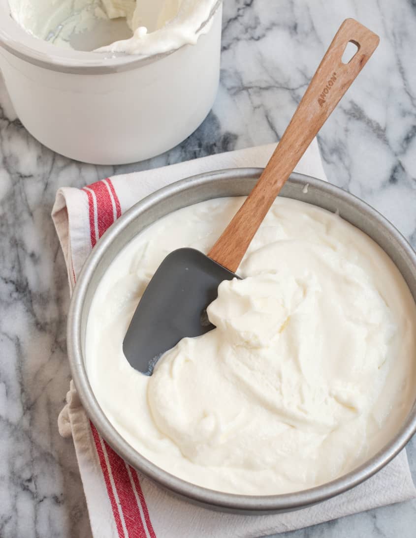 How To Make Frozen Yogurt Recipe Kitchn