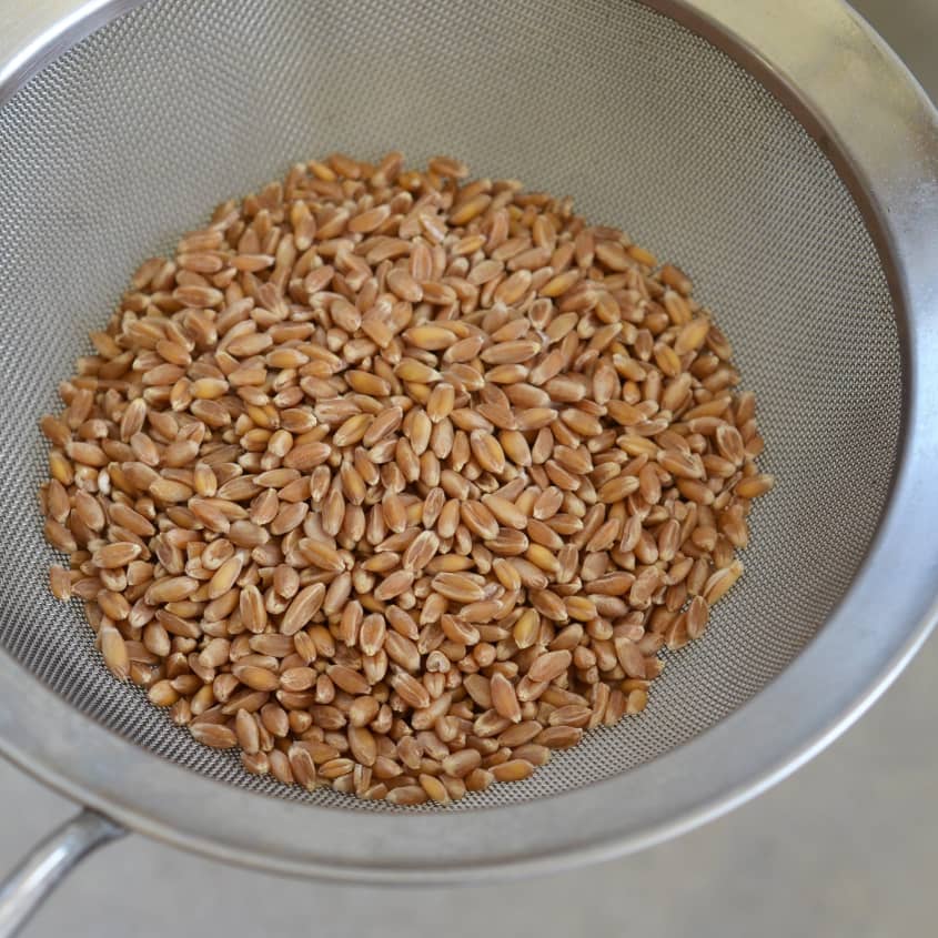 How To Make Sprouted Grains Kitchn