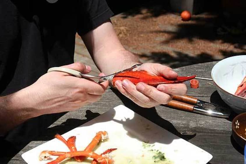 How To Crack And Eat A Whole Lobster | The Kitchn