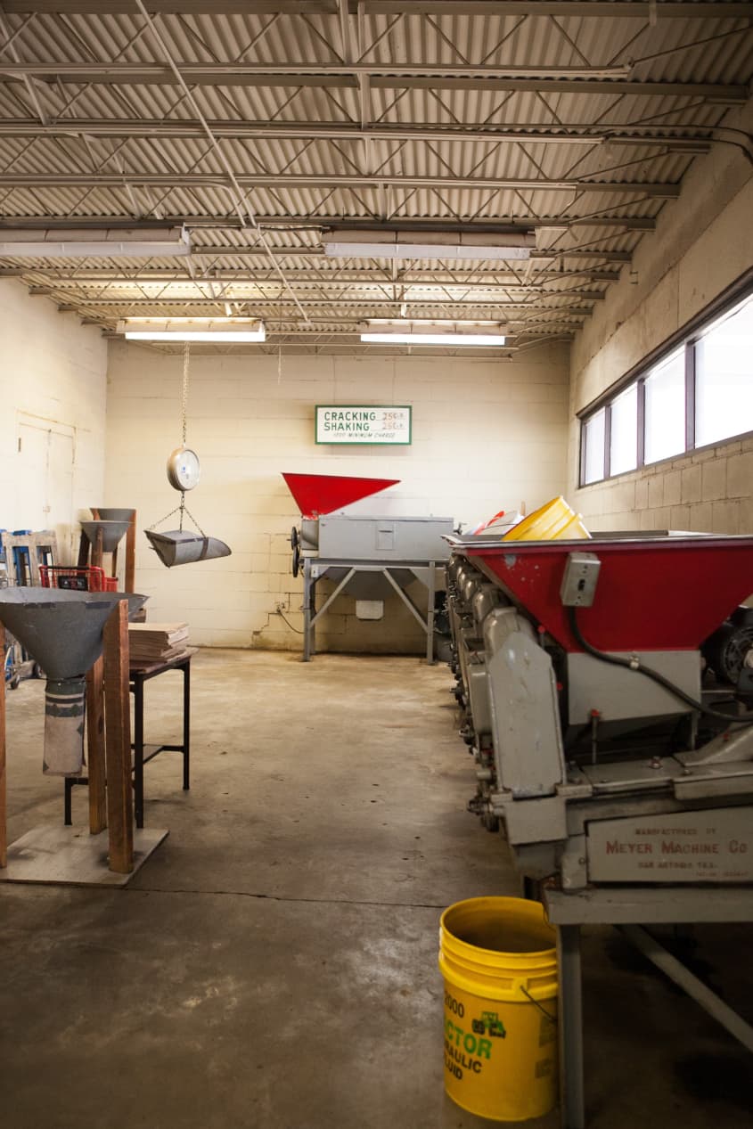 The Family Story of Tucker Pecans in Montgomery, Alabama The Kitchn