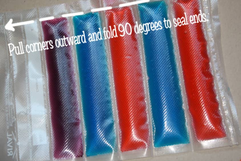 How To Make Healthier PopIce Popsicles With a Vacuum Sealer The Kitchn