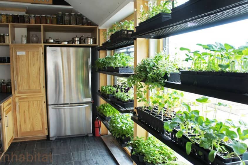 6 SunFilled Kitchens with Greenhouse Windows The Kitchn