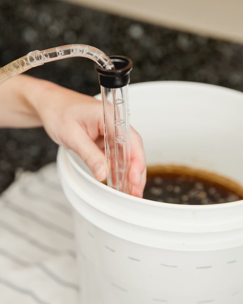 How to Transfer and Siphon Beer The Kitchn