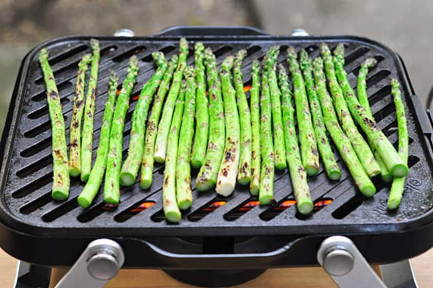 The Element Portable Grill by Fuego A Smaller Lighter Gas Grill