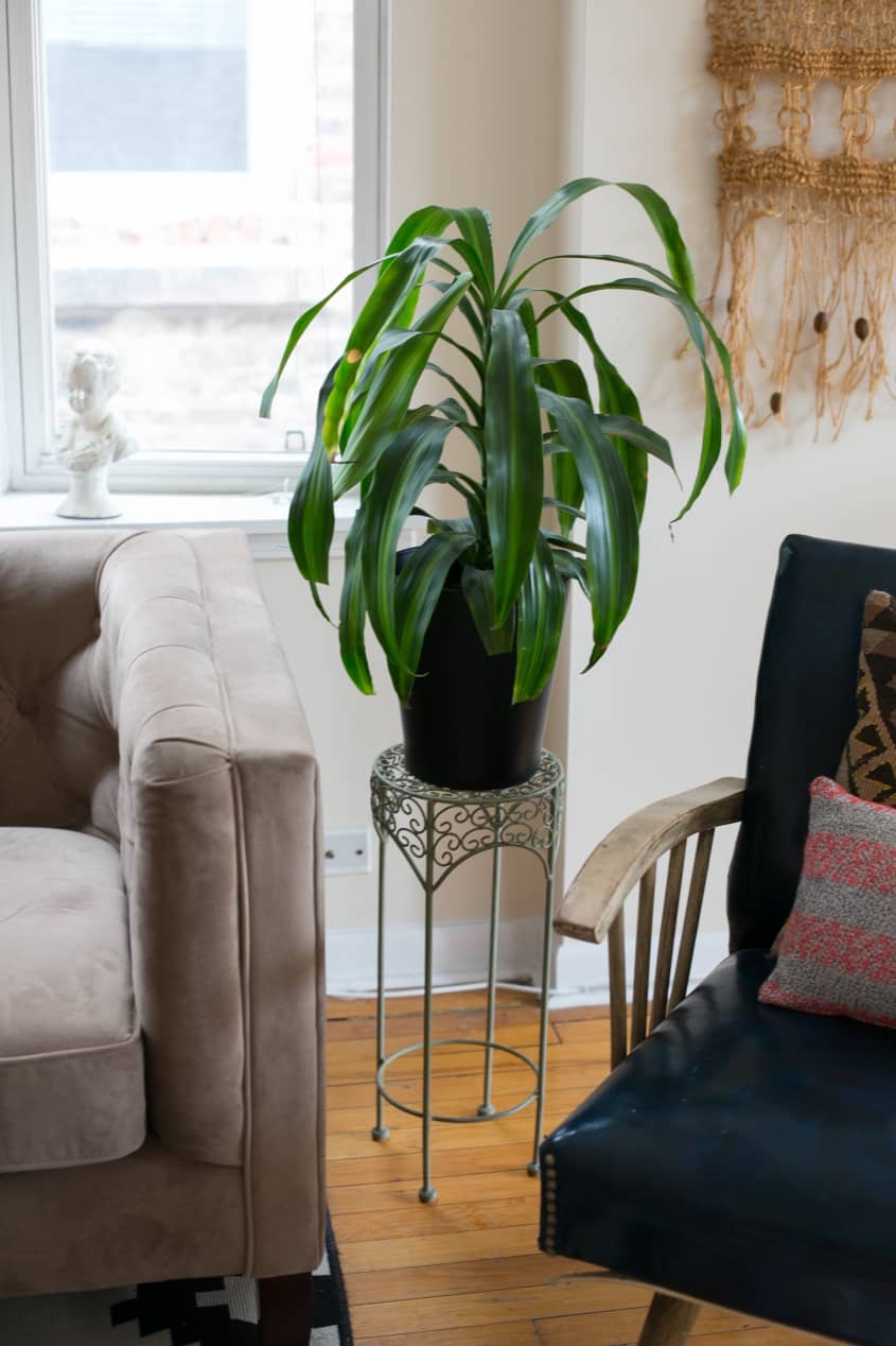 House Tour: A Serene Shared Chicago Space | Apartment Therapy