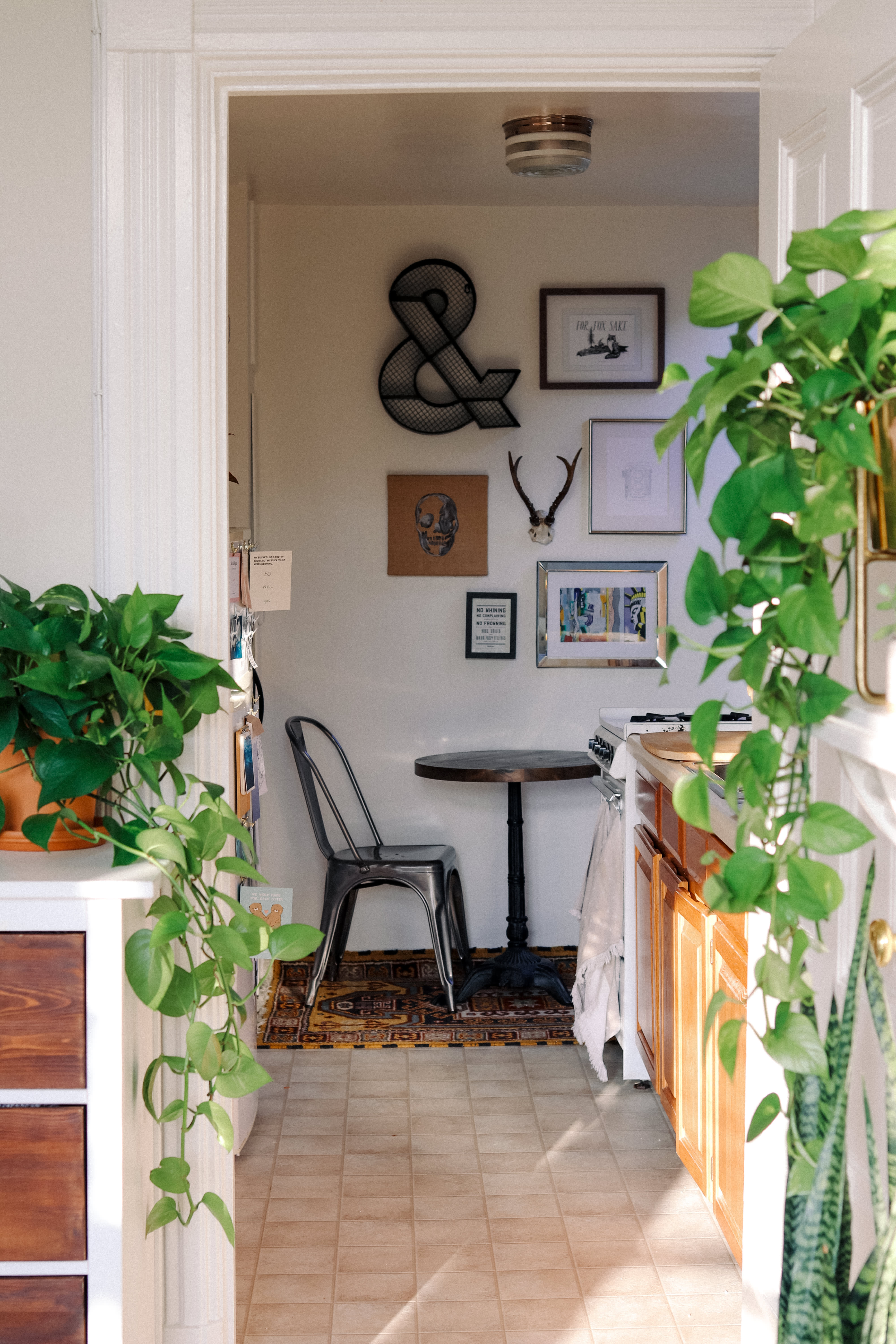 Plant  Filled Simple Chic Studio Apartment  Decor Photos   Plant  Filled Simple Chic Studio Apartment  Decor Photos