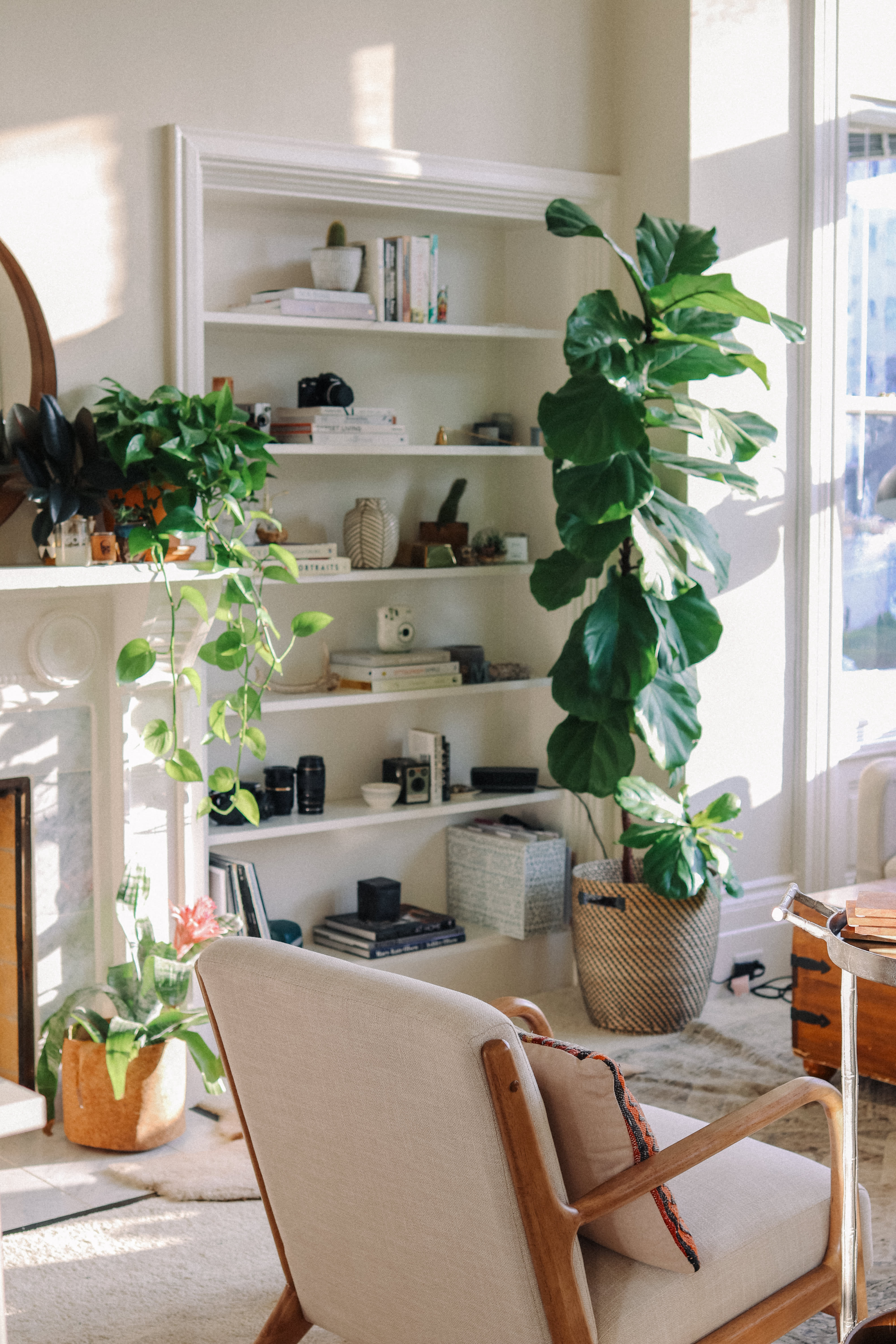  Plant  Filled Simple Chic Studio Apartment  Decor Photos 
