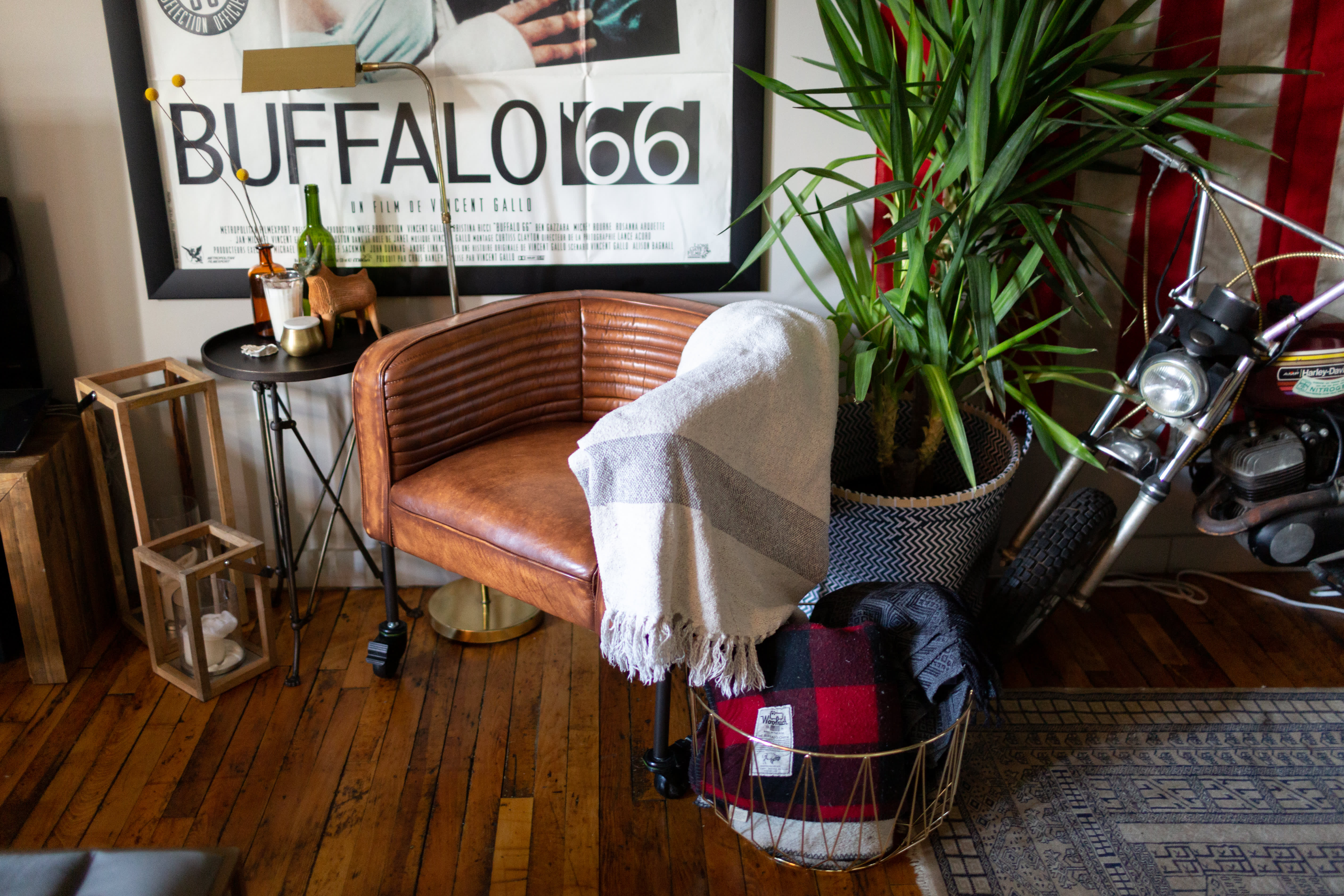 Hilton Carter Plant Doctor Industrial Loft Home Photos Apartment