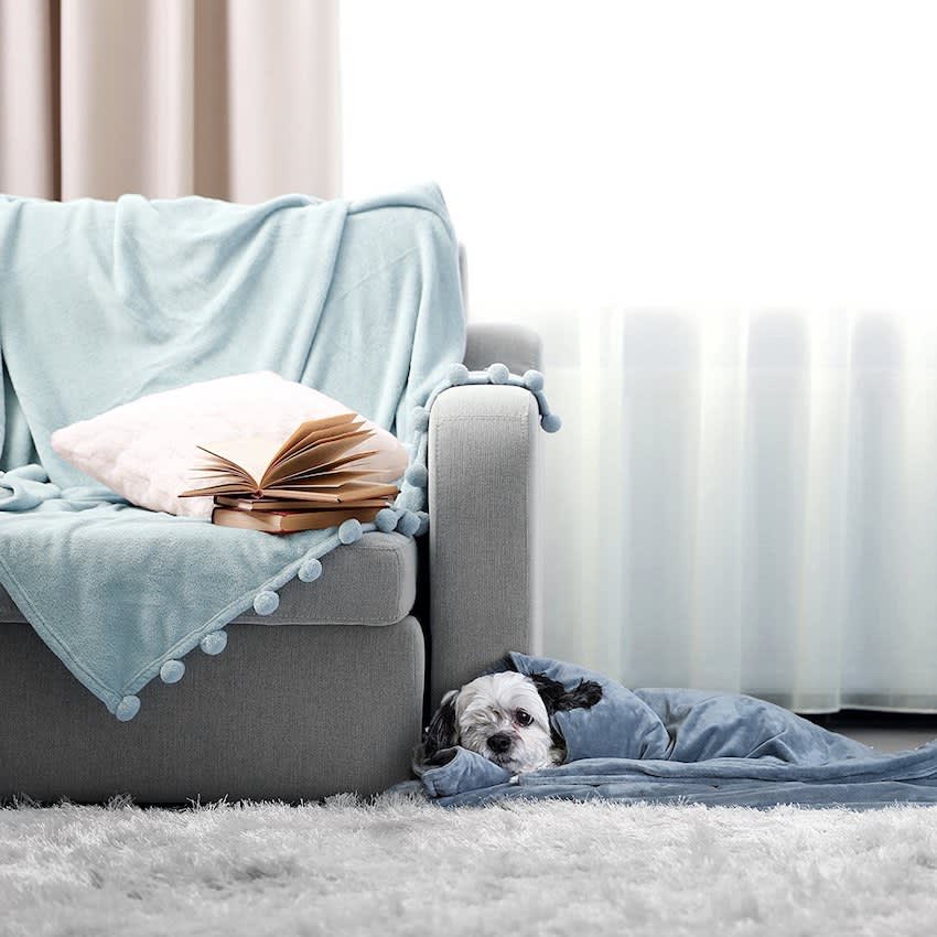 blanket for dogs with anxiety