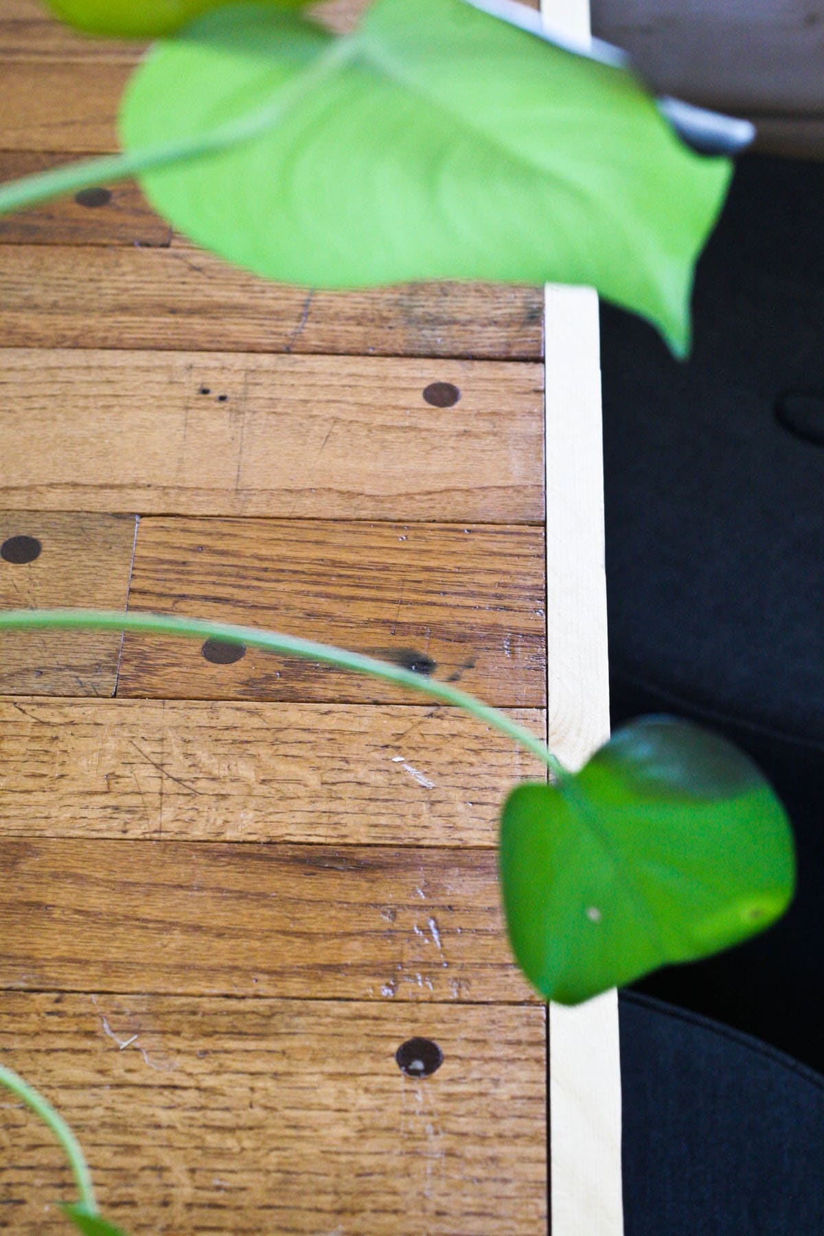 House Tour A Truly Tiny Home On The Range Apartment Therapy