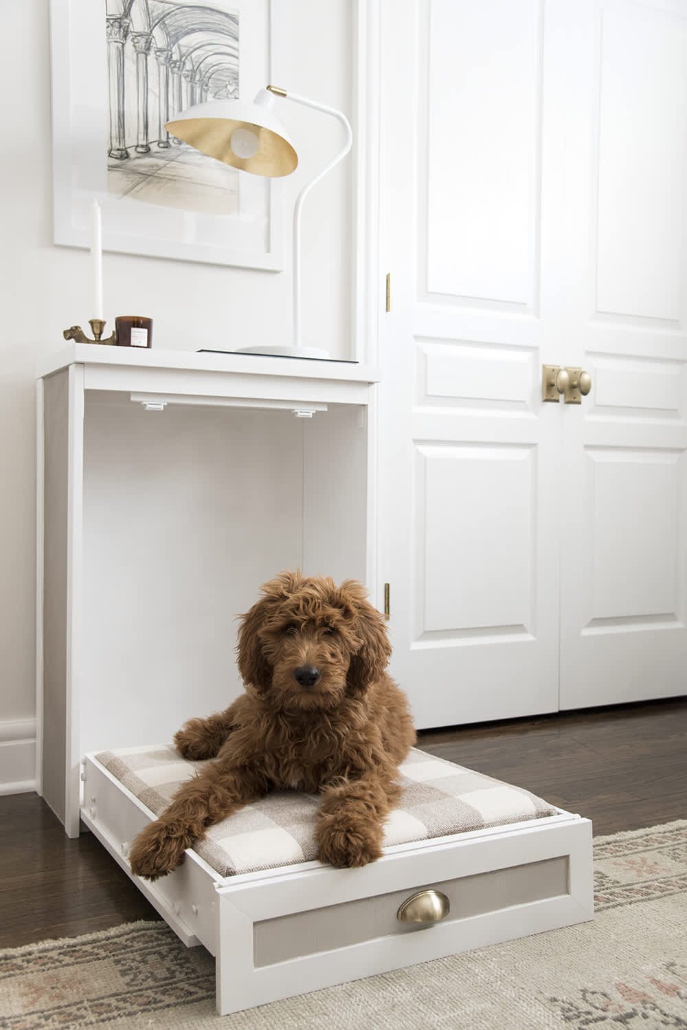 10 Diy Dog Bed Ideas Easy Ways To Make A Dog Bed Apartment Therapy