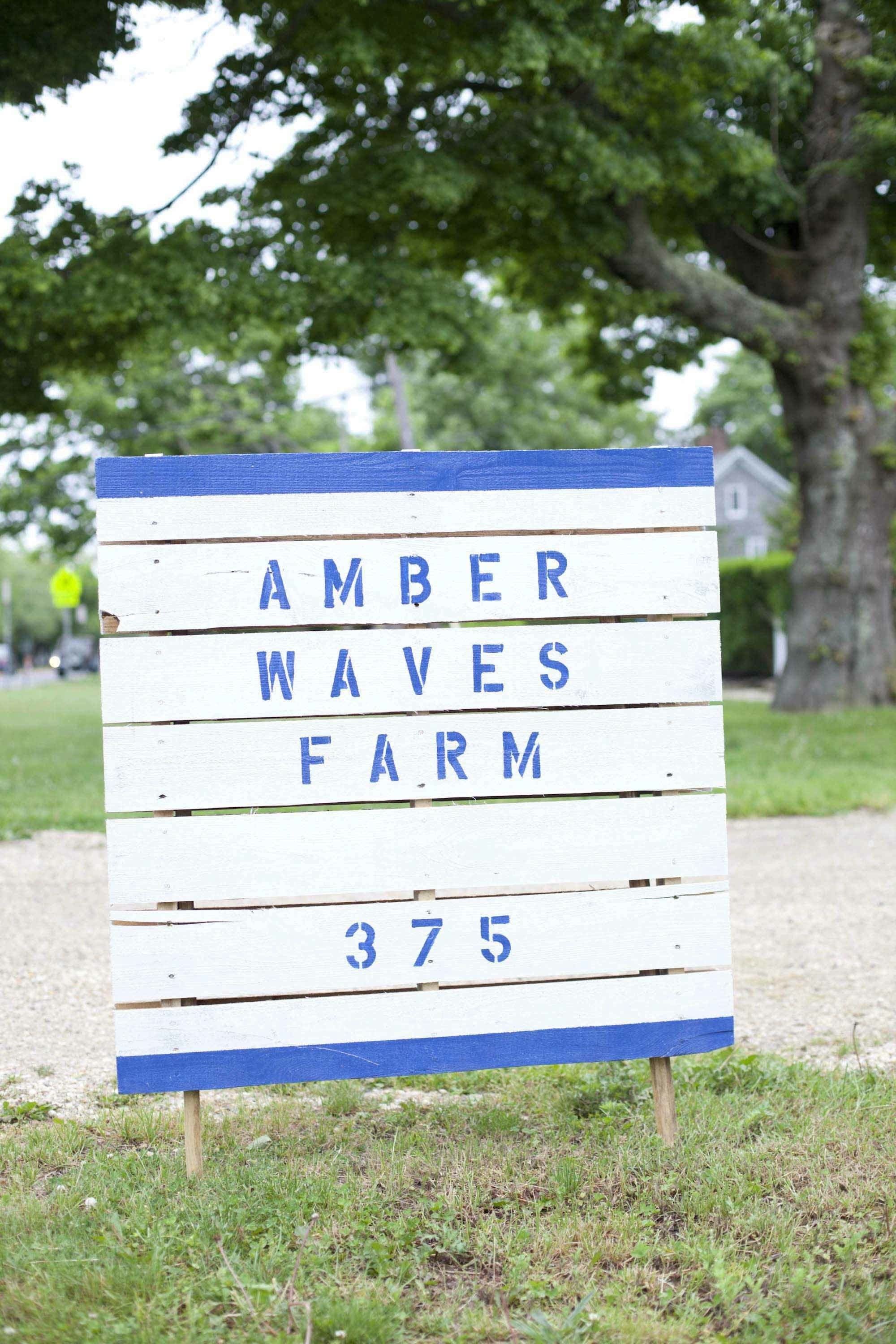 My CSA Experience at Amber Waves Farm Kitchn