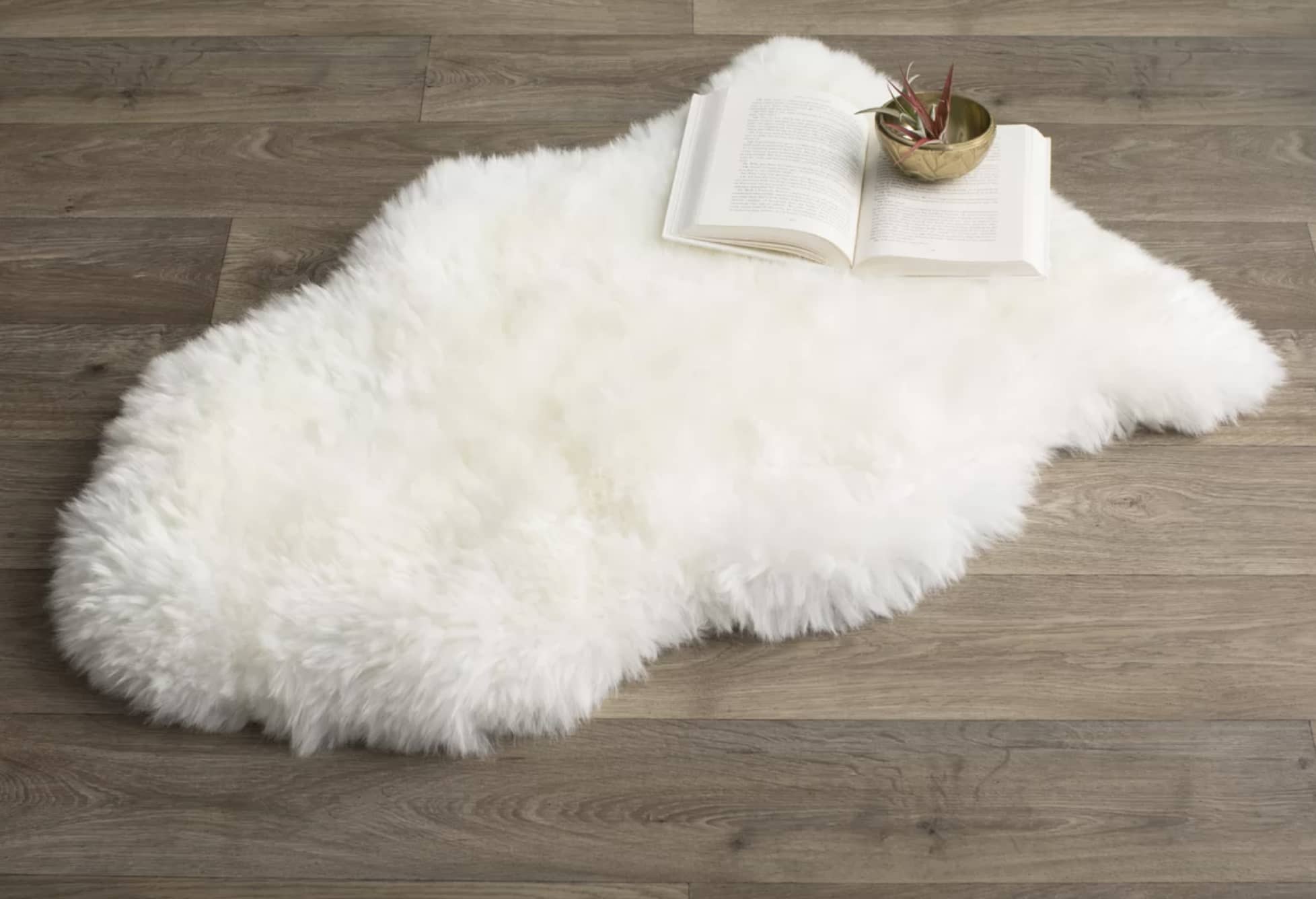 Wayfair Rug Sale Best Way Day 2018 Discount Rugs Apartment Therapy