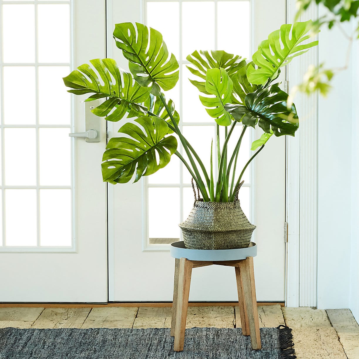 How to Pick the Best Fake Plants A Faux Plant Buying Guide 2021