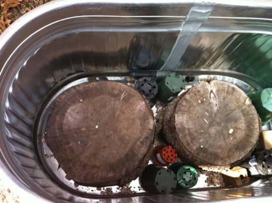 How To Build A Raised Bed in a Metal Trough | Apartment Therapy