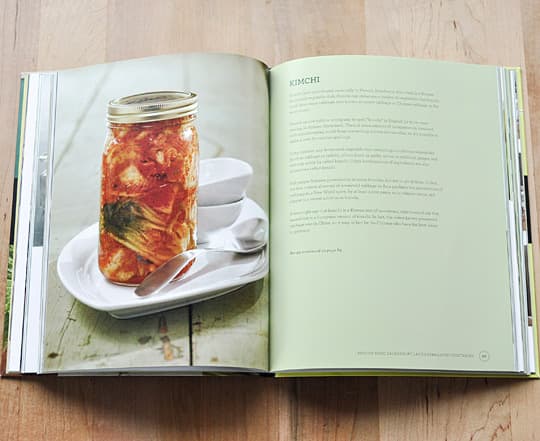 Real Food Fermentation by Alex Lewin | Kitchn