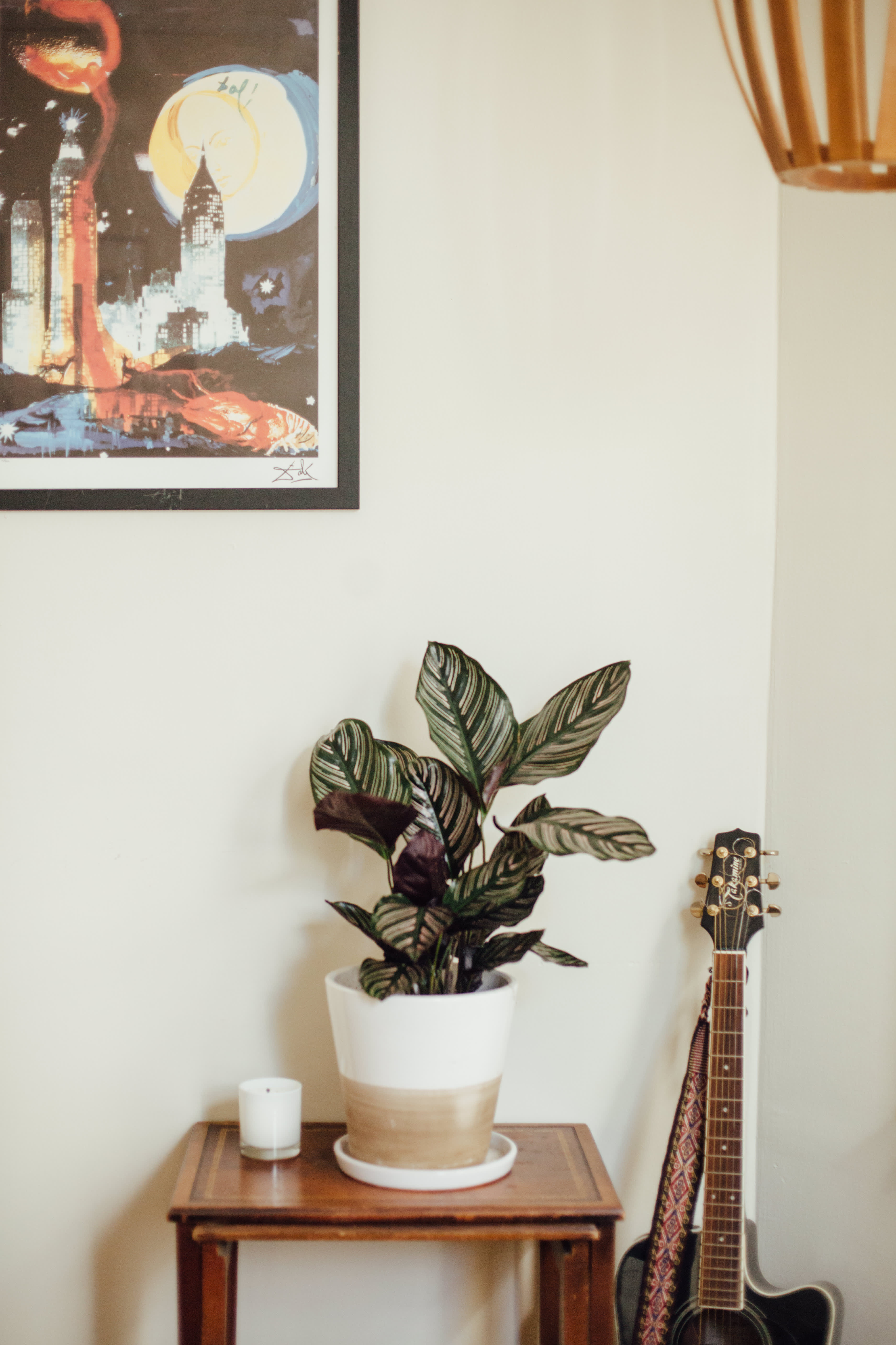 House Tour A Plant Filled San Francisco Apartment