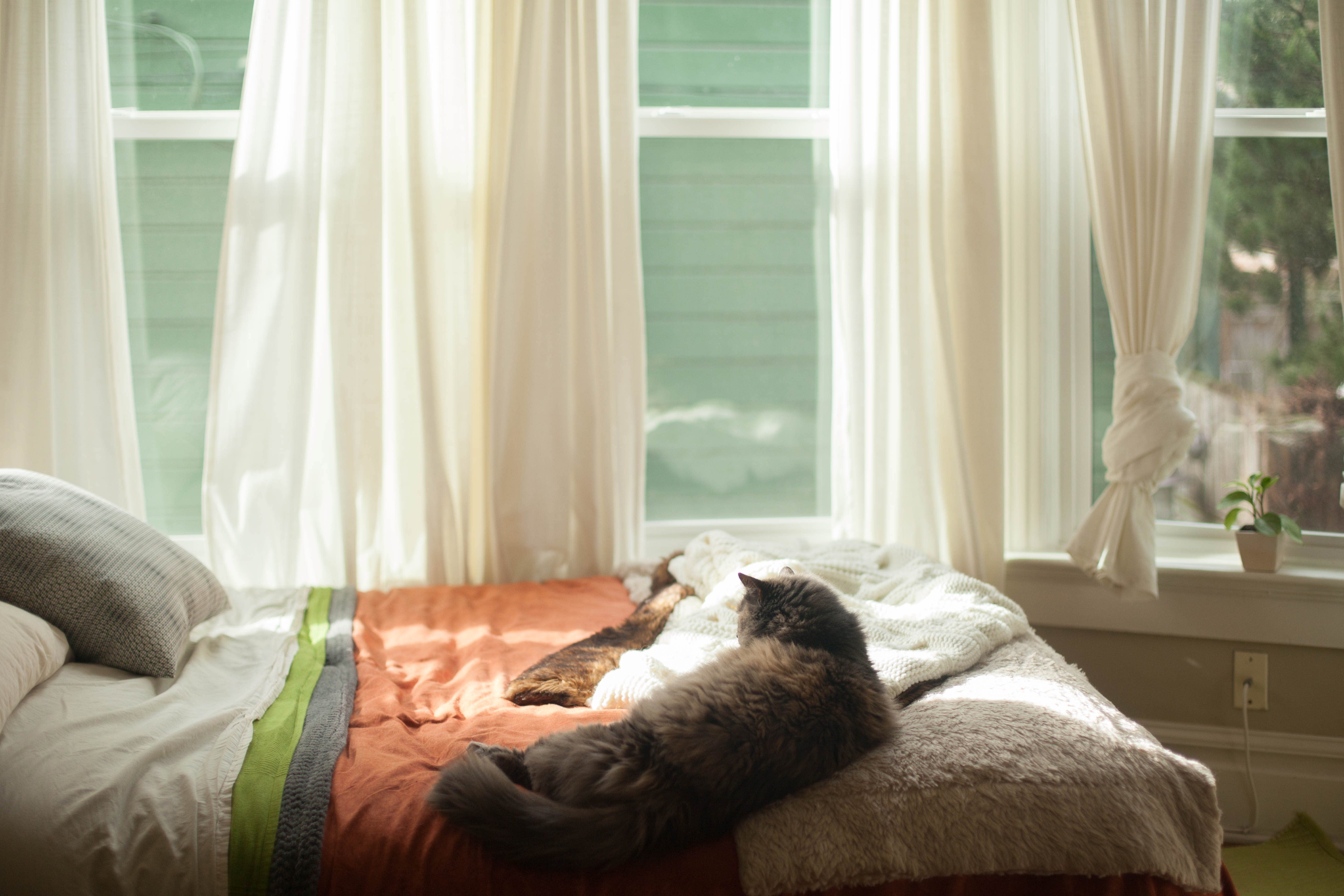 House Tour A Cozy & Refined Portland Studio Apartment Apartment Therapy