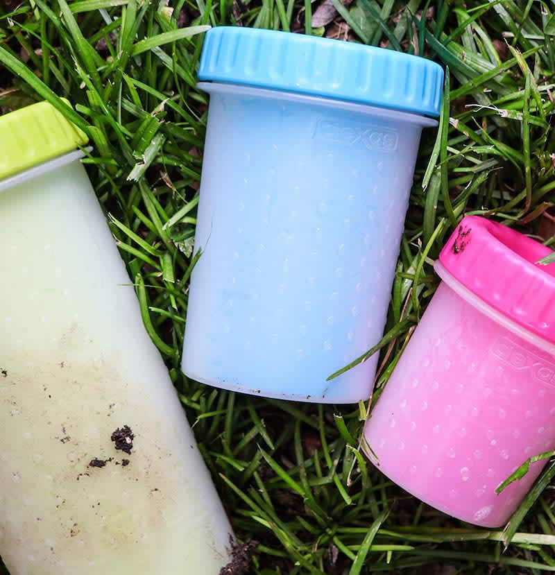 MudBuster Prevents Dogs From Tracking Dirt Inside Apartment Therapy