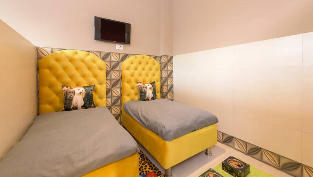 Luxury Pet Hotel Dog Day Care India Critterati Photos Apartment Therapy