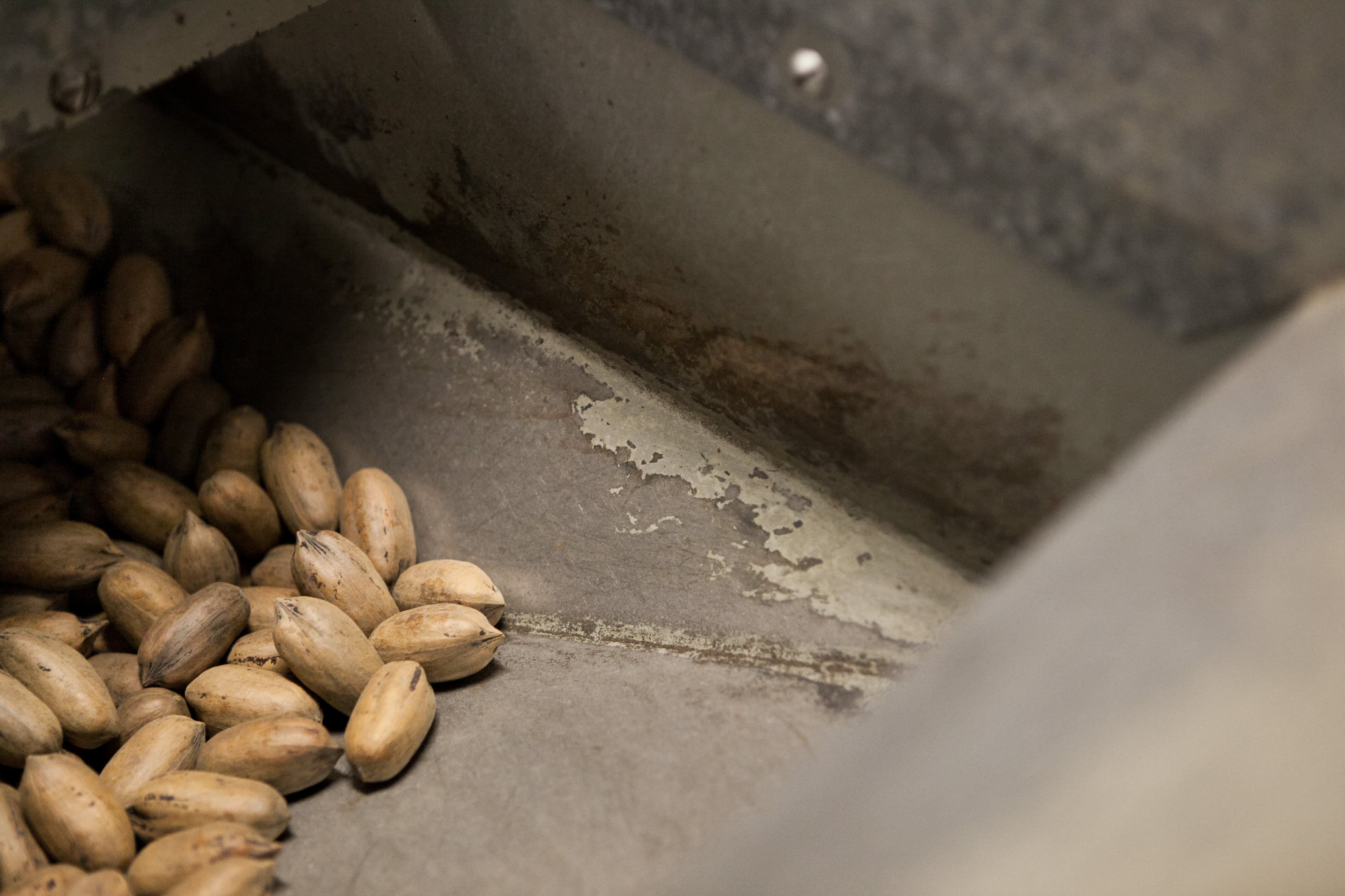 Why Tucker Pecan Still Buys “Backyard Pecans” Kitchn