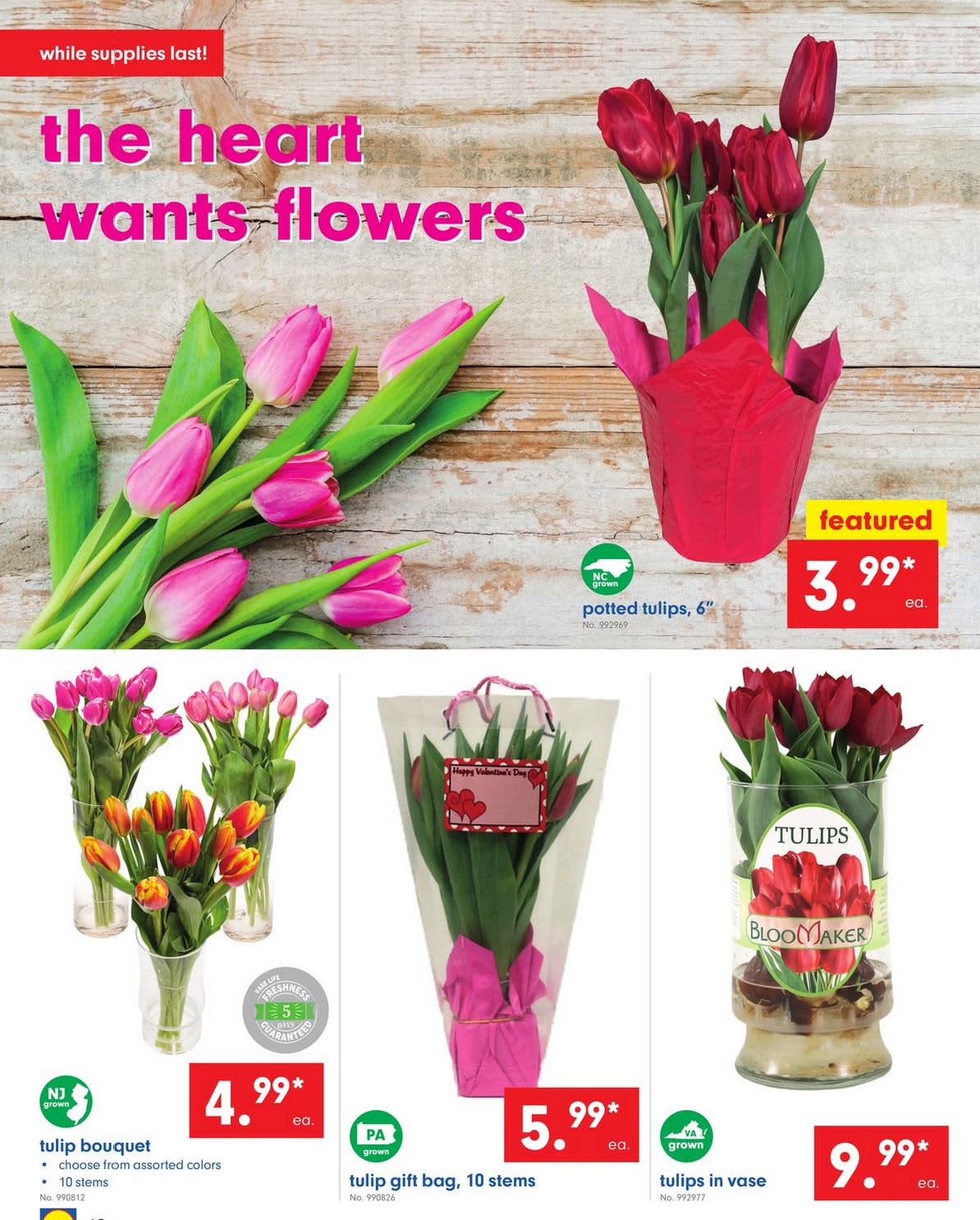 Whole Foods Best Flower Deals Lidl Aldi Valentine's Day Apartment Therapy