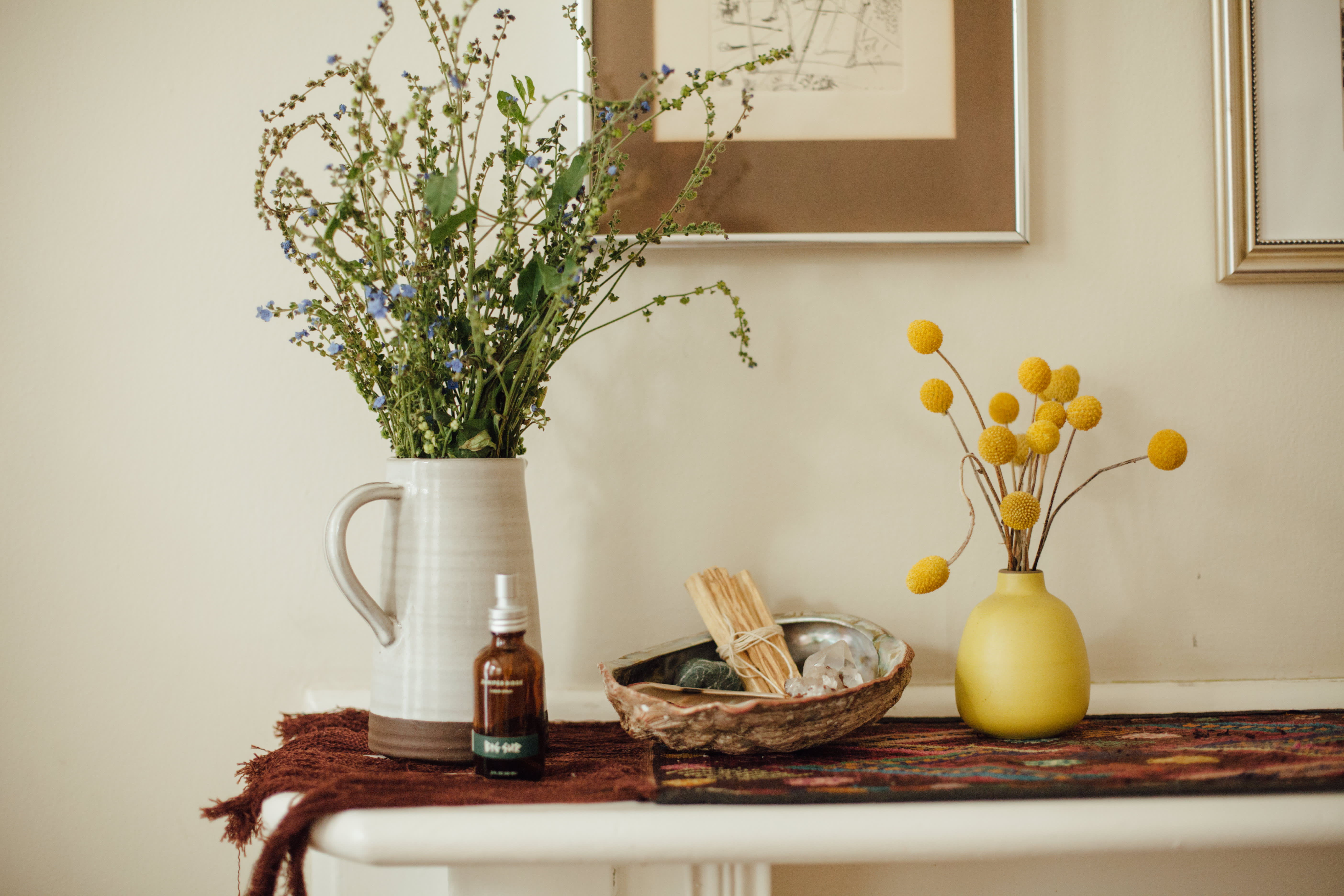House Tour A Plant Filled San Francisco Apartment