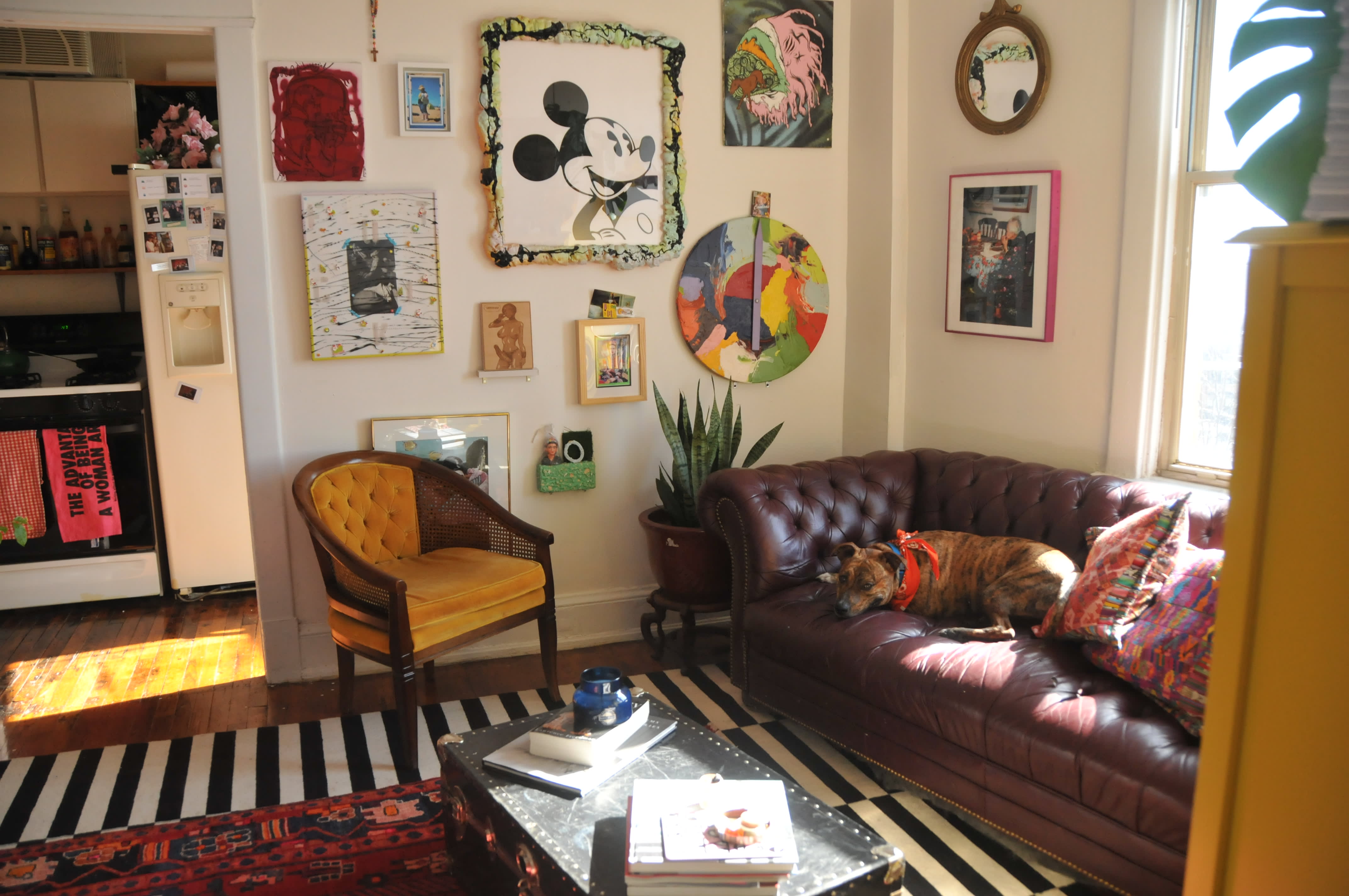 Wall to Wall Art, Plants & Vintage Goodness in a Quirky Cool DC