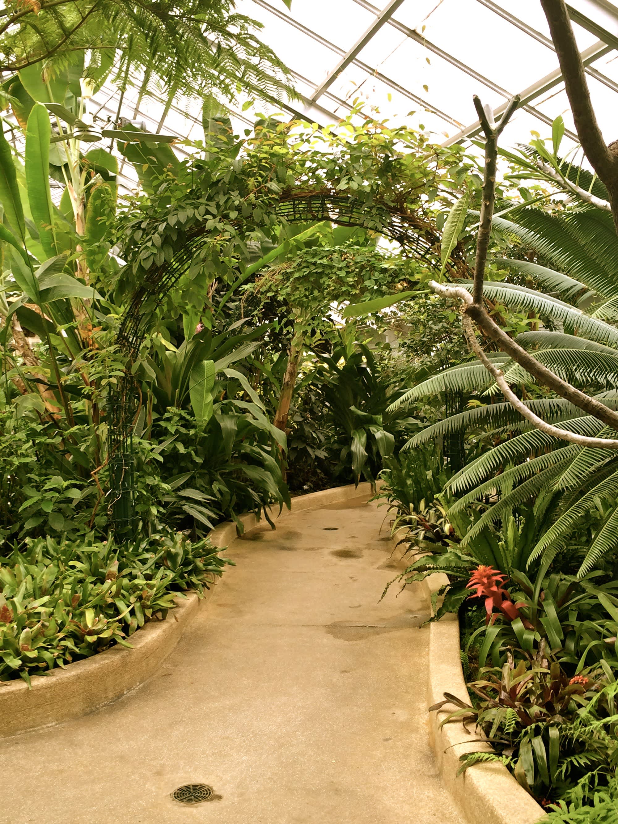 Garden Visit: Howard Peters Rawlings Conservatory & Botanic Gardens ...