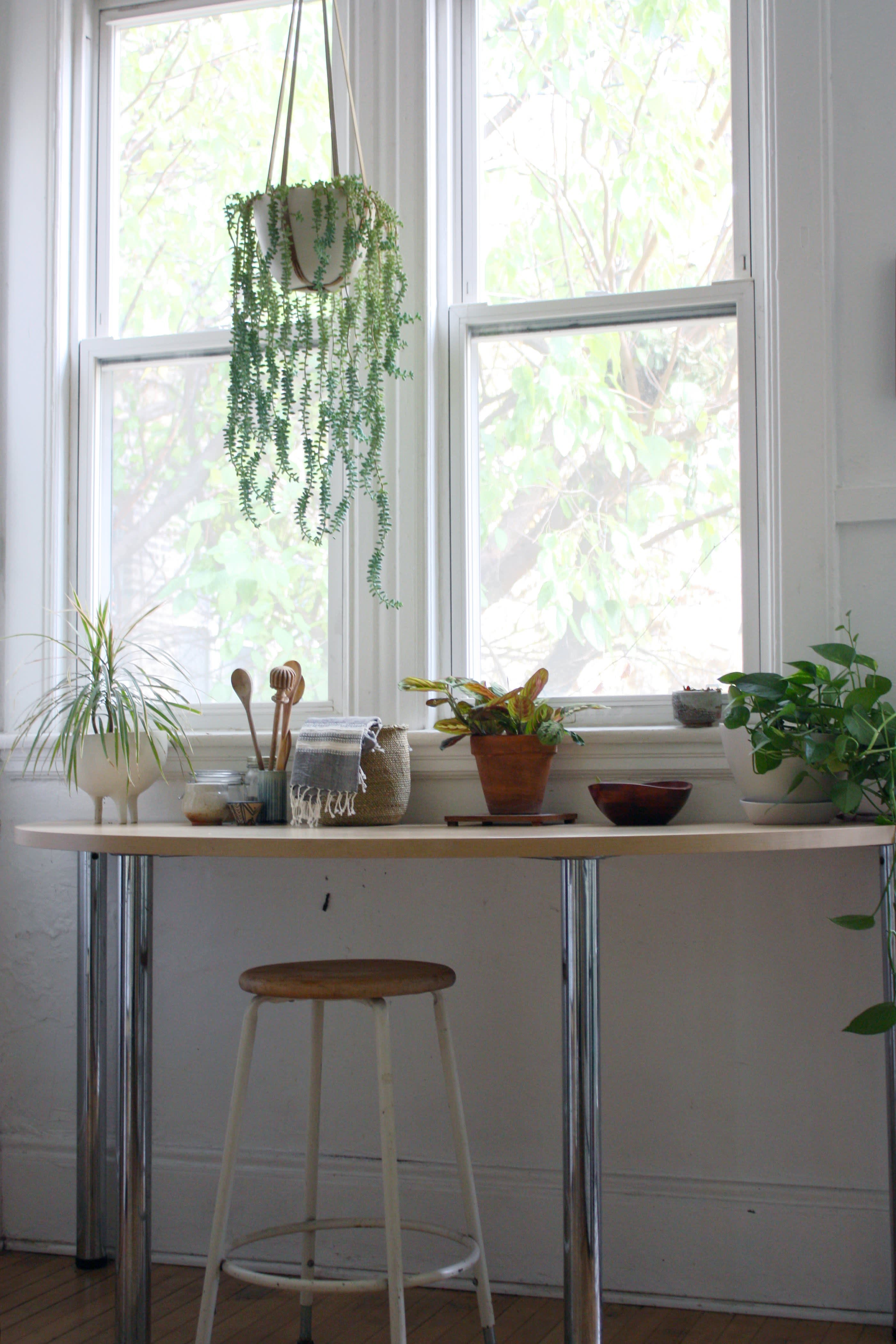 House Tour A Globally Inspired Chicago Apartment Apartment Therapy