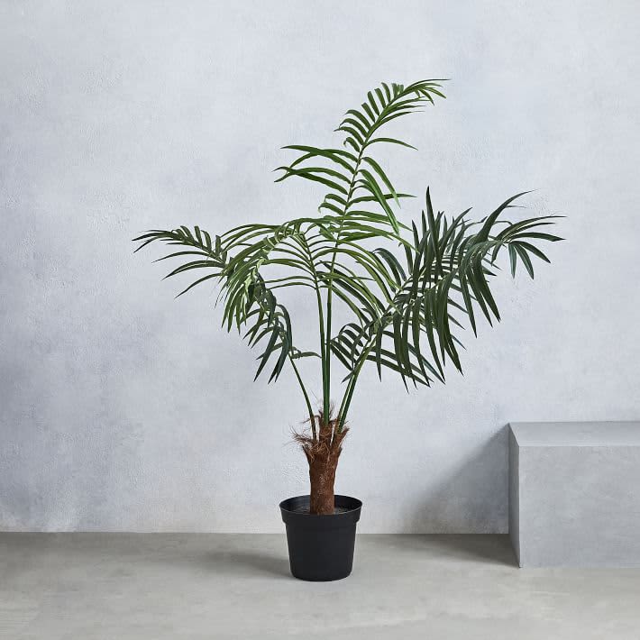 How to Pick the Best Fake Plants A Faux Plant Buying Guide 2021