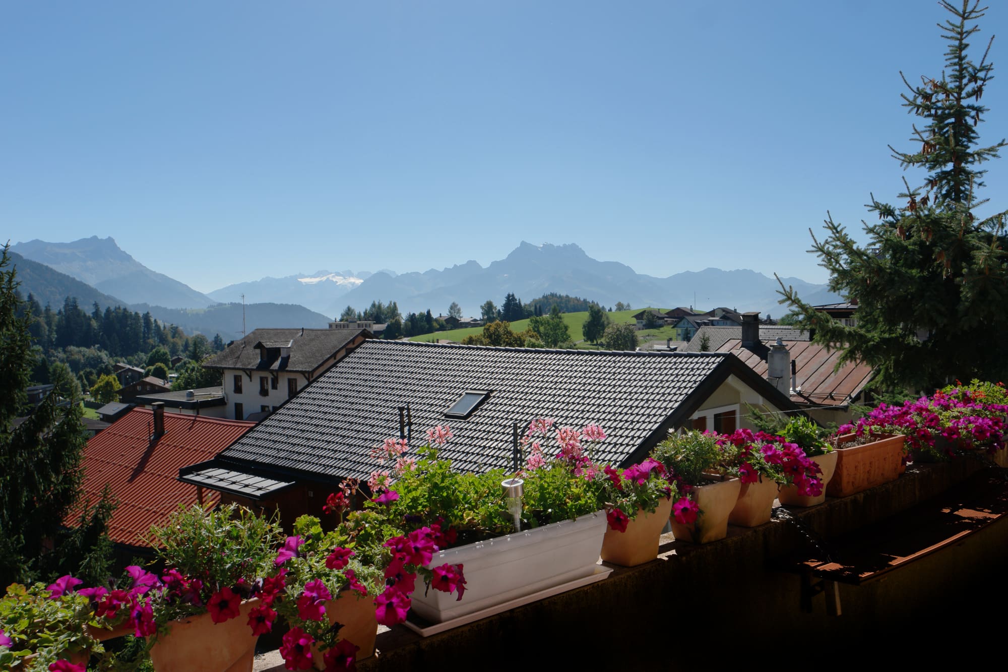 Apartments With Mountain Views